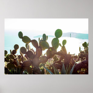 Póster Hojas de cactus. Planta al aire libre con luz inte
