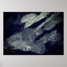 Póster Hojas de lluvia verde oscuro