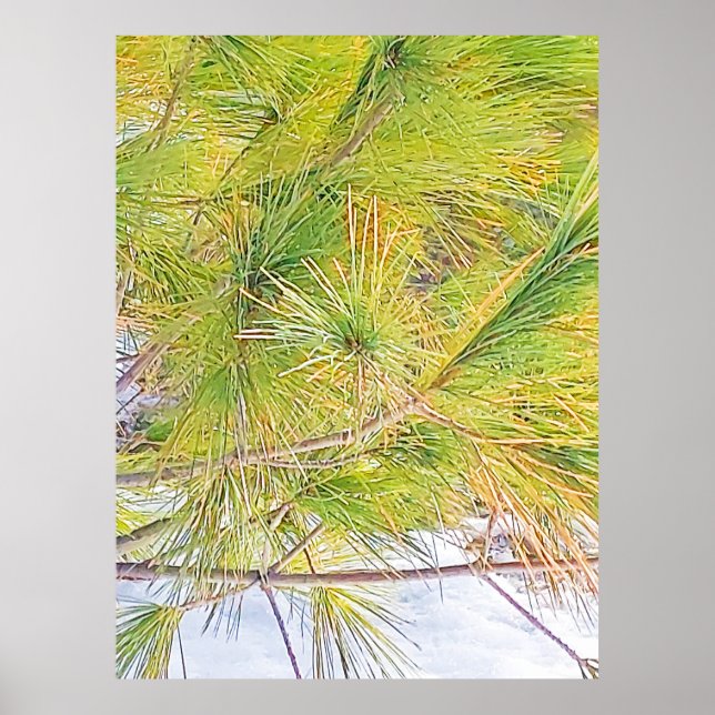 Póster Hojas de nieve y de pino. ¡Hazte con una en Zazzle (Frente)