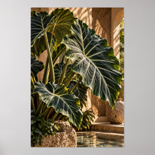 Póster Hojas de Oreja de Elefante Tropical en Patio Dorad
