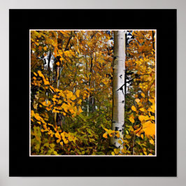 Póster Hojas de oro