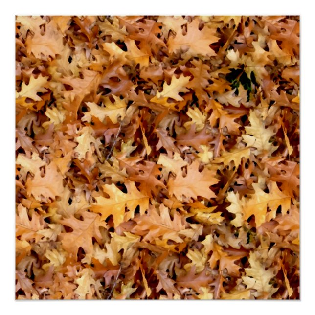 PÓSTER HOJAS DE OTOÑO (Anverso)