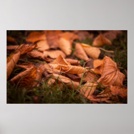 Póster Hojas de otoño