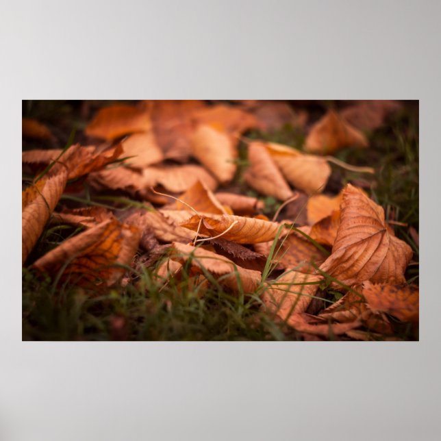 Póster Hojas de otoño (Frente)