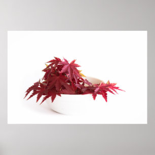 Póster Hojas de otoño
