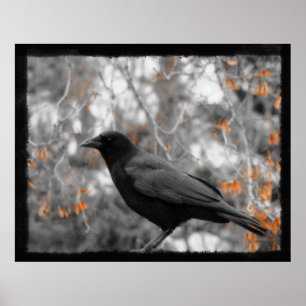 Póster Hojas de otoño