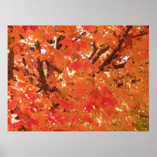 Póster Hojas de otoño 1