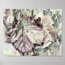 Hojas de otoño coloridas con colores de otoño dibu