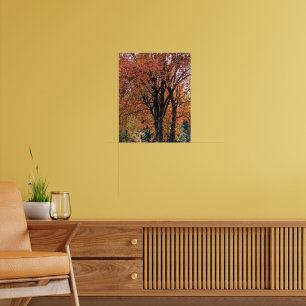 Póster Hojas de otoño coloridas fotográficas
