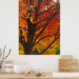 Póster Hojas de otoño de amarillo y naranja, ZSSPG vertic