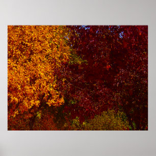 Póster Hojas de otoño de amarillo y púrpura, ZSSPG