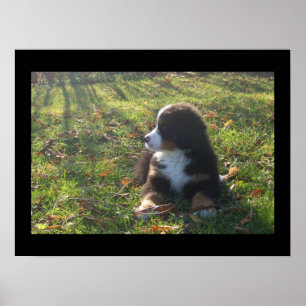 Póster Hojas de otoño de Bernese