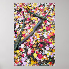 Póster Hojas de otoño en el suelo