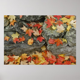 Póster Hojas de otoño en muro de piedra, Minute Man