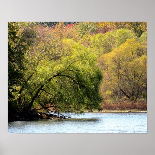 Póster Hojas de otoño - Poster de belleza otoñal (Frente)