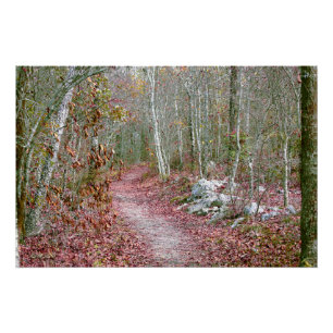 Póster Hojas de otoño rosadas Goat Rock Trail Arkansas