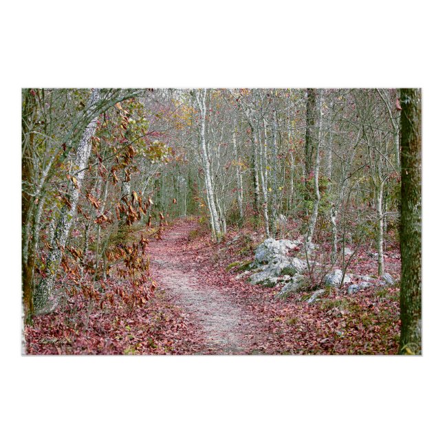 Póster Hojas de otoño rosadas Goat Rock Trail Arkansas (Anverso)