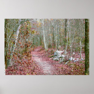 Póster Hojas de otoño rosadas, sendero Goat Rock, Arkansa