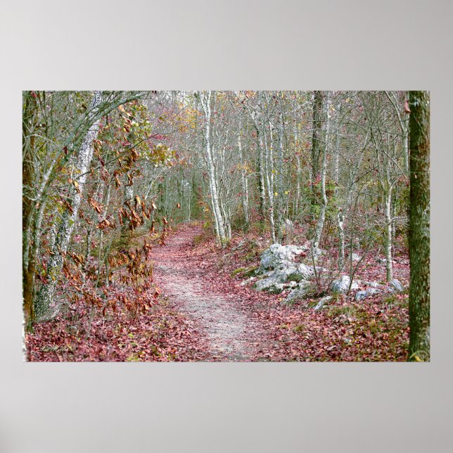 Póster Hojas de otoño rosadas, sendero Goat Rock, Arkansa (Frente)