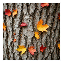 Hojas de otoño rústicas colores de caída corteza d