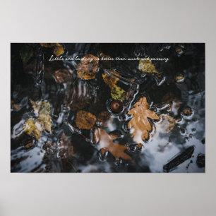 Póster Hojas de otoño y bellotas en aguas misteriosas