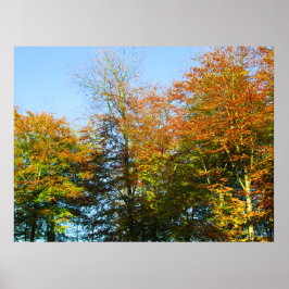 Póster Hojas de otoño y cielos azules - Personalizado