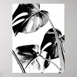 Póster hojas de palma de monstera negro tropical y blanco
