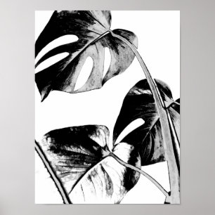 Póster hojas de palma de monstera negro tropical y blanco