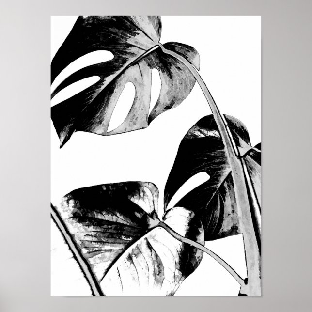 Póster hojas de palma de monstera negro tropical y blanco (Frente)