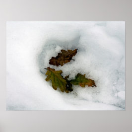 Póster Hojas de roble en la huella del lienzo de la tarje