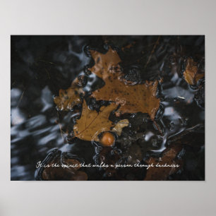 Póster Hojas de roble y bellotas en aguas oscuras