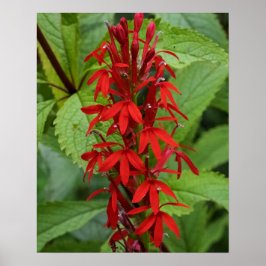 Póster Hojas de Rojo