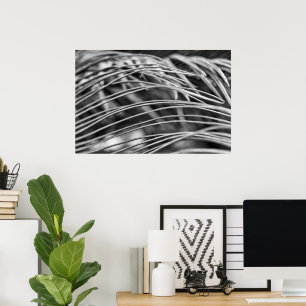 Póster Hojas hermosas de palmera