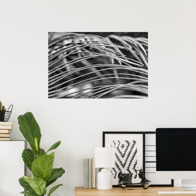 Póster Hojas hermosas de palmera (Oficina en casa)