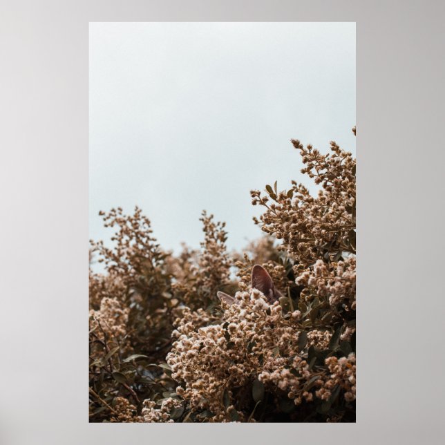 PÓSTER HOJAS MARRÓN SOBRE ÁRBOLES MARRONES (Frente)