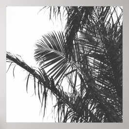 Póster Hojas Monocromáticas de Palm Tree Blanco Negro