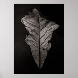 Póster Hojas No 5
