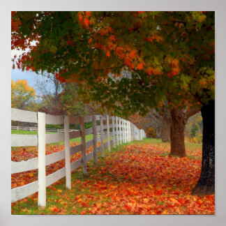 Póster Hojas otoñales