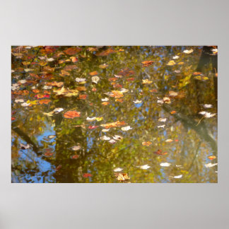 Póster Hojas otoñales y reflexión en la transmisión por s