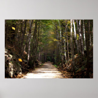 Póster Hojas que se tambalean