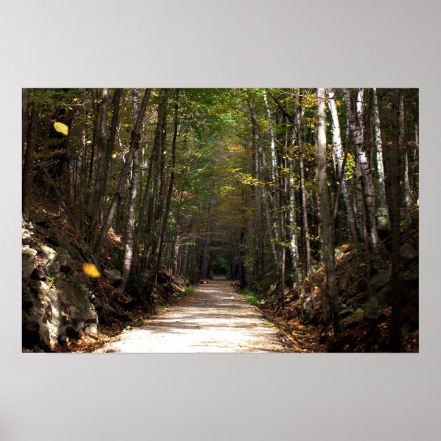 Póster Hojas que se tambalean (Frente)