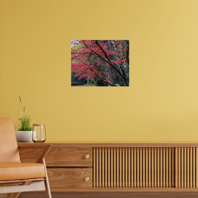 Póster Hojas rojas de arce en árbol botánico (Salón 2)
