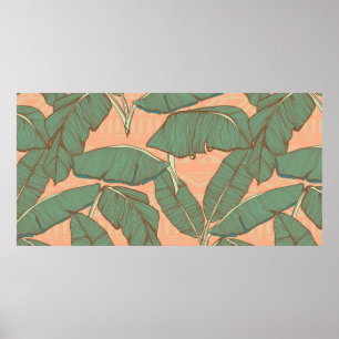 Póster Hojas tropicales de palmera fondo transparente
