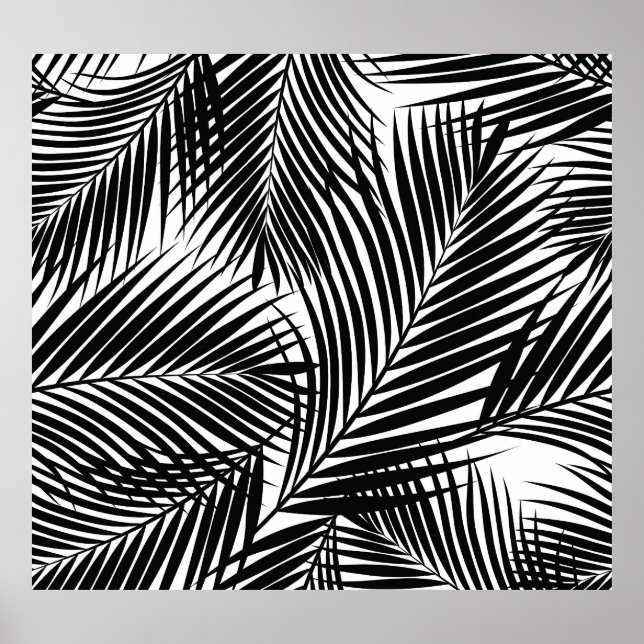 Póster Hojas tropicales de palmera negras, fondo blanco (Frente)