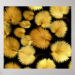 Póster Hojas Tropicales Doradas: Elegancia de Licuala