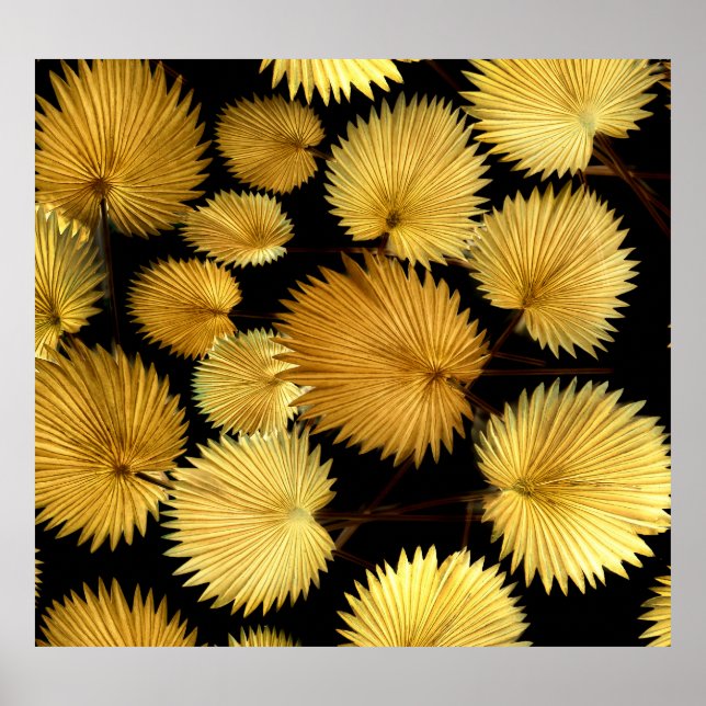 Póster Hojas Tropicales Doradas: Elegancia de Licuala (Frente)