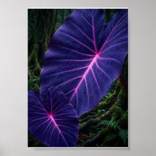 Póster Hojas Tropicales Moradas Brillantes Botánica Fleec