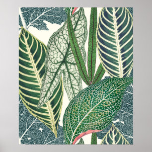Póster Hojas tropicales verdes