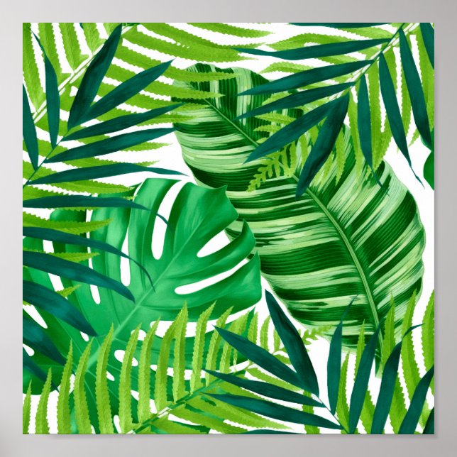 Póster Hojas tropicales verdes (Frente)