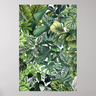 Póster Hojas vegetales